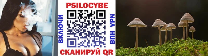 Псилоцибиновые грибы Psilocybe  Лесозаводск 