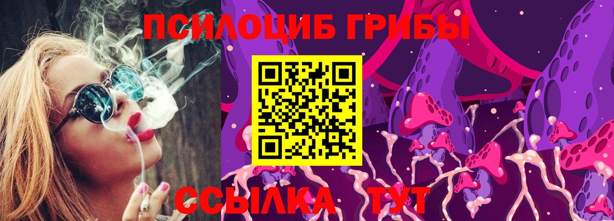 Галлюциногенные грибы прущие грибы  Вход с VPN  Лесозаводск 